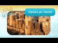 الحفل الختامي والبازار التسويقي للبرنامج التدريبي والمهني للفتيات في سيئون الحفل الختامي والبازار التسويقي للبرنامج التدريبي والمهني للفتيات في سيئون