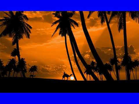 Set Me Free Mr. Gun feat. Serkan & Glow