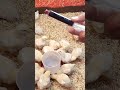 المشروب السحرى الطبيعي لرفع وزيادة المناعة والوزن للكتاكيت البيضه بسرعة الصاروخ خش على قناتى للمزيد 