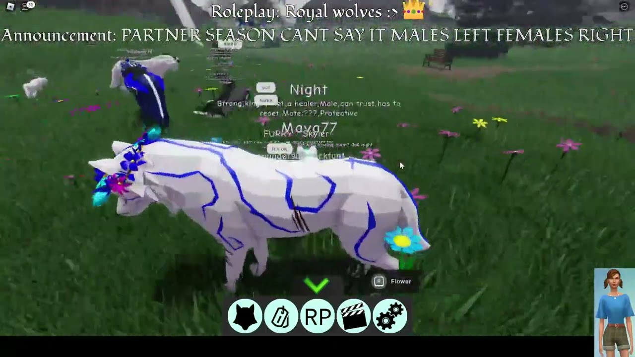 Roblox Animal Life RP YouTube 