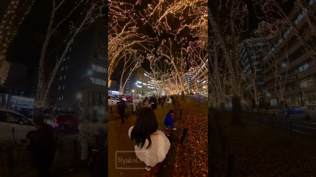 2025 仙台光のページェント スターライトウインクの瞬間 insta360 X3撮影 縮圖