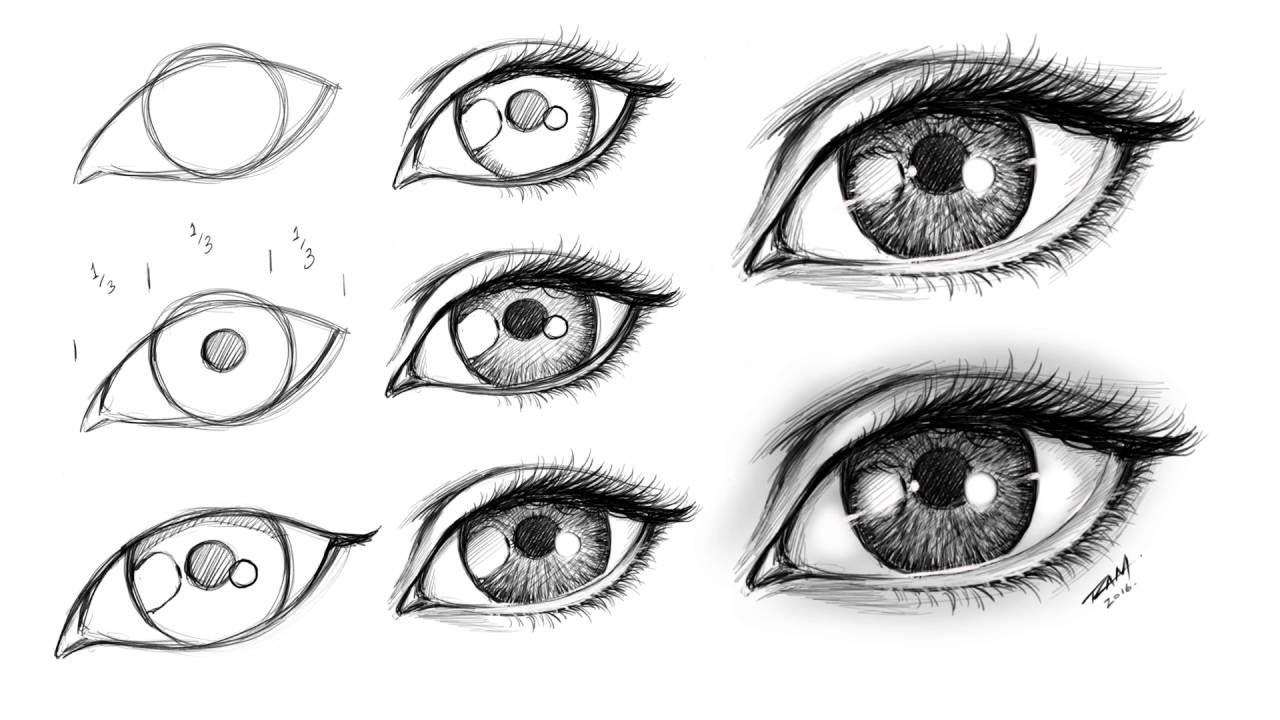 How To Draw Realistic Eyes Easy Step By Step ~ Realistic Eye Step By ...