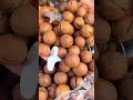 Rich & Creamy Hawaiian Treat | One Bite Full of Milky Flavor