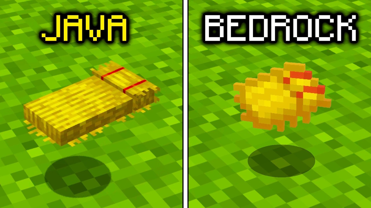 240 Java vs Bedrock: Big Differences You Need to Know in Minecraft! (Compilation)