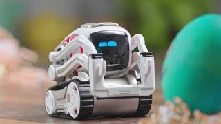 Cozmo In First Easter