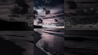 Şehirin En Karanlık Katı - Keşfedilmemiş Şarkılar