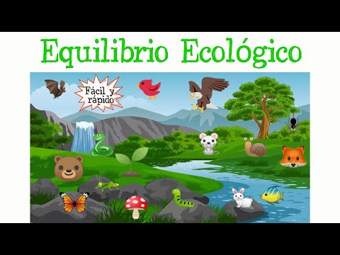 Video: ¿Qué hay en el equilibrio de la naturaleza?