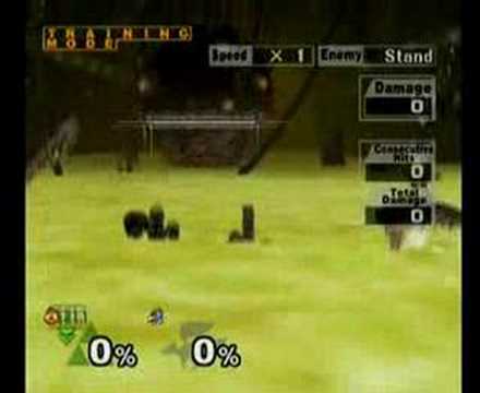 Shino Stall training