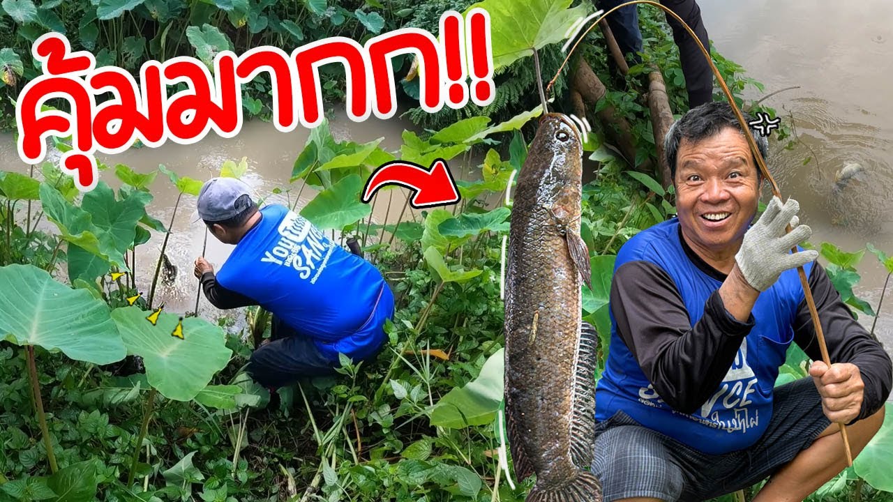 คุ้มสุดๆ!! พ่อทำเองกับมือ ไม่คิดว่าจะได้เยอะขนาดนี้!! l ครัวป่าไผ่ SAN CE