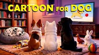Anti-Separation Anxiety Cartoon for Dogs to Watch🐶Best Cartoons for Dogs, Stress Relief for Dogs screenshot 2