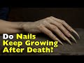 Do Fingernails Really Keep Growing After Death?