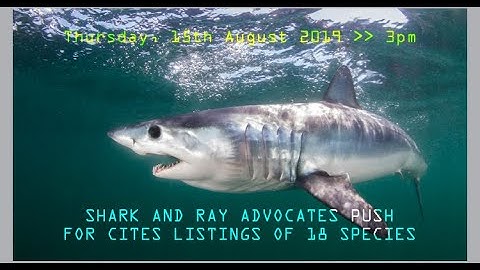 « Shark and ray advocates push for CITES listings of 18 species »