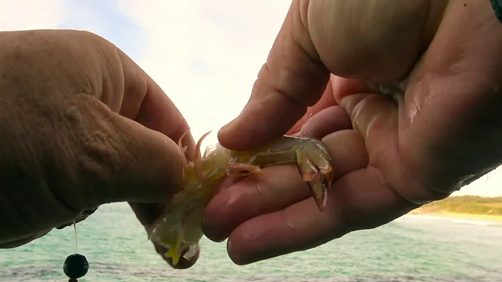 HOW-TO TIP: Simple Rock Fishing Rig