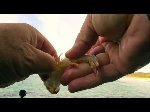 HOW-TO TIP: Simple Rock Fishing Rig