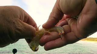 How-To Tip Simple Rock Fishing Rig