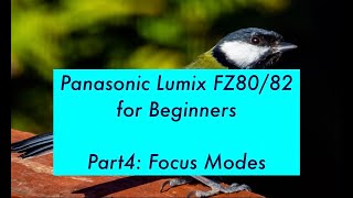 Panasonic Lumix  FZ80/82 Tutorial For Beginners: Part 4 Focus Modes screenshot 5