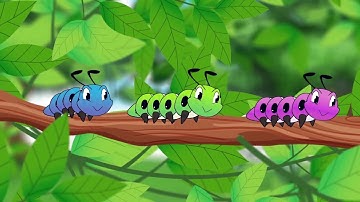 เพลง หนอนผีเสื้อ ต้วมๆเตี้ยมๆออกมาจากไข่ | Worm Song