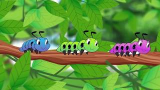 เพลง หนอนผีเสื้อ ต้วมๆเตี้ยมๆออกมาจากไข่ | Worm Song