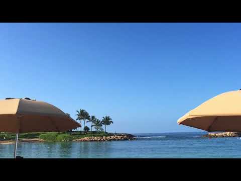 マイムービー忘年会