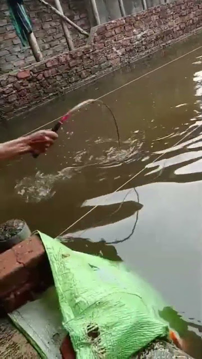 ikan lele nya pada gede 48 lewat ☺️ #mancing #gtlele #fishing