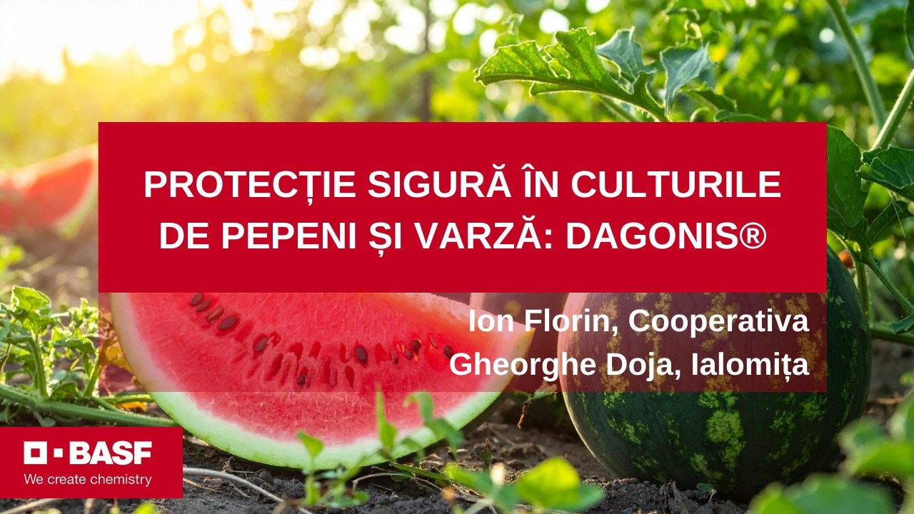Dagonis®, protecție eficientă pentru culturile de legume, confirmată în fermă