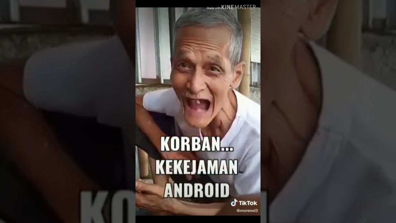 Kumpulan status wa lucu 