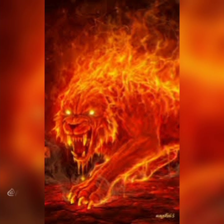 story wa kata-kata macan terbaru