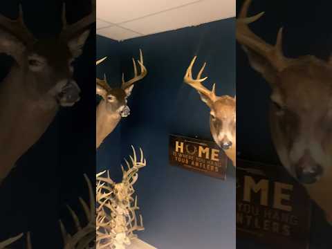 A trophy room