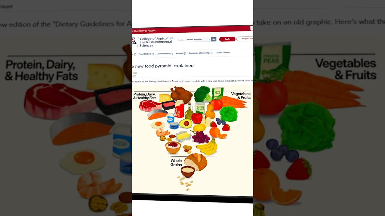 Food Pyramid - Europe V.S. US