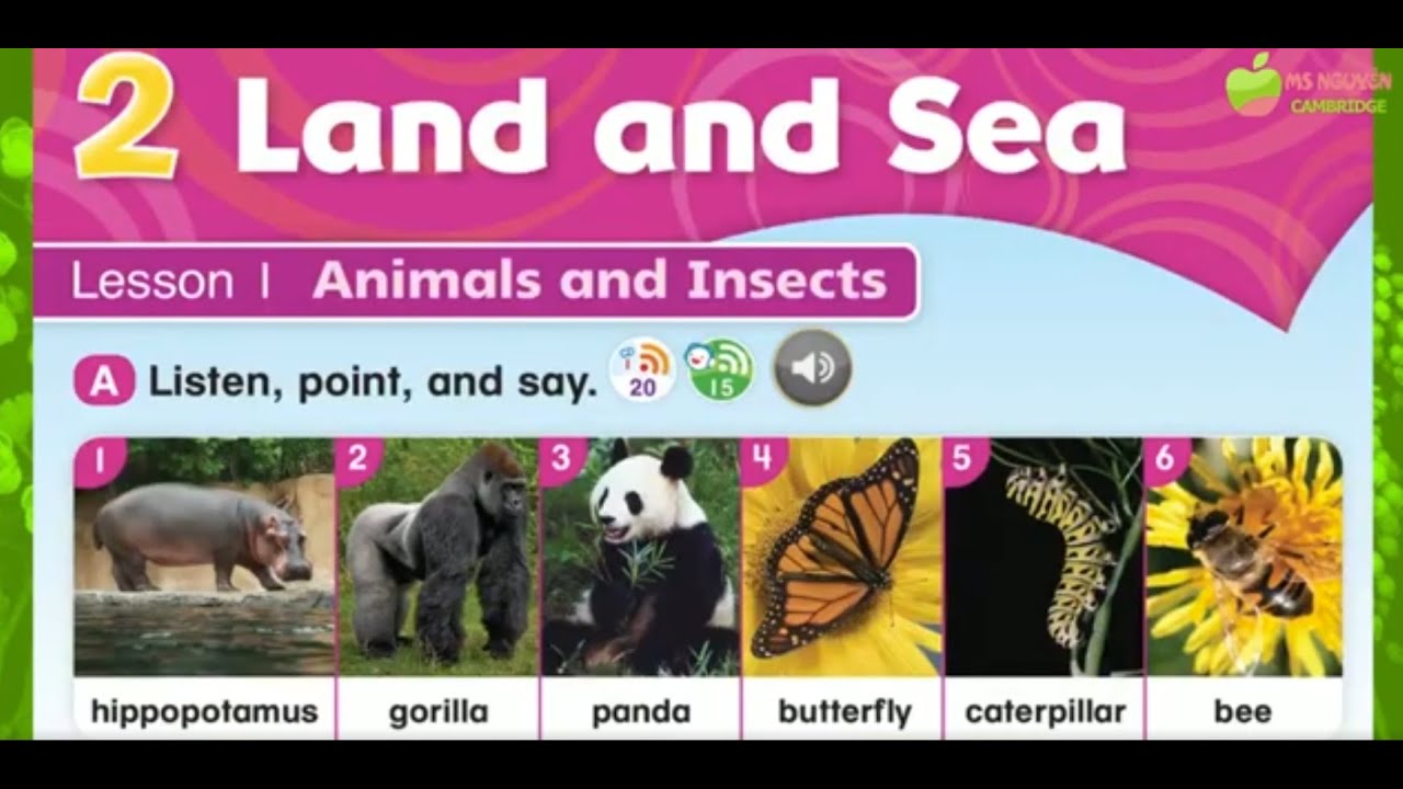 Everybody Up 4 Unit 2 Lesson 1 - YouTube