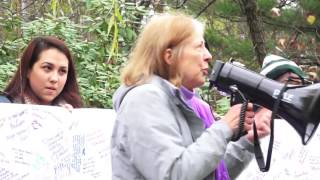 Wellesley College Students unite with Babson College Students in peaceful demonstration