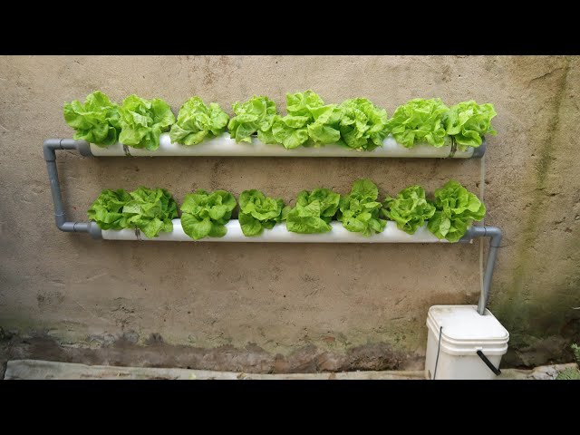 Porno video Faqat sochli porno