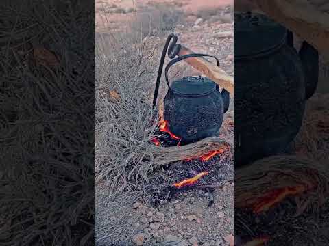 ٤ أكتوبر ٢٠٢٥