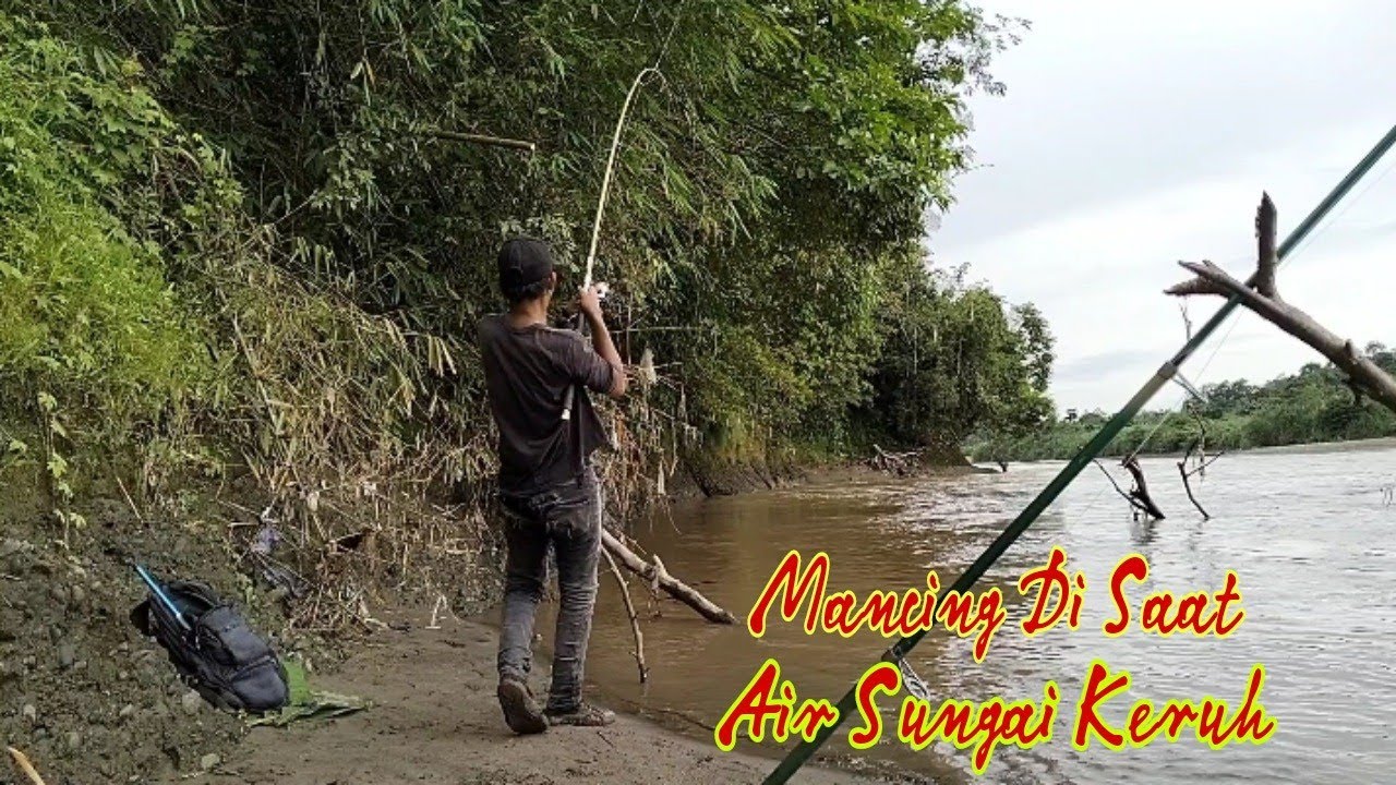 Mancing Di air keruh Berburu Ikan Sidat Dan Ikan Mahal