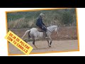 2 tips para nnca pelear con tu caballo