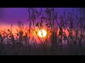 Melodic progressive house mix vol 96 sunset melodies