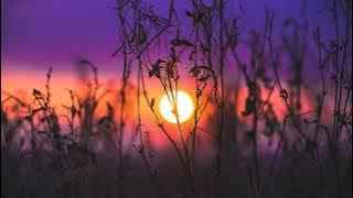 Melodic Progressive House mix Vol 96 (Sunset Melodies)