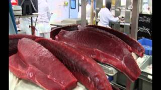 Honolulu Fish Co. Processing
