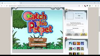 Neopets: Catch the Petpet (700 points)