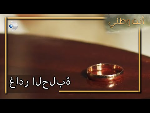 سيفديت ترك الحلبة أنت وطني 7 