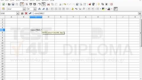 Using the function date(), insert the date 9 July 1968 in cell C5.