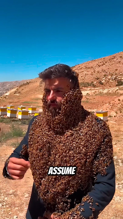 Why Bees Don't Sting Beekeeper