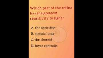 Which part of the retina has the greatest sensitivity to light ?