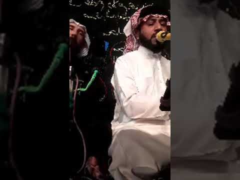 مديح السيد ميسر الحيالي يا طيبة العشاق رايد زياره