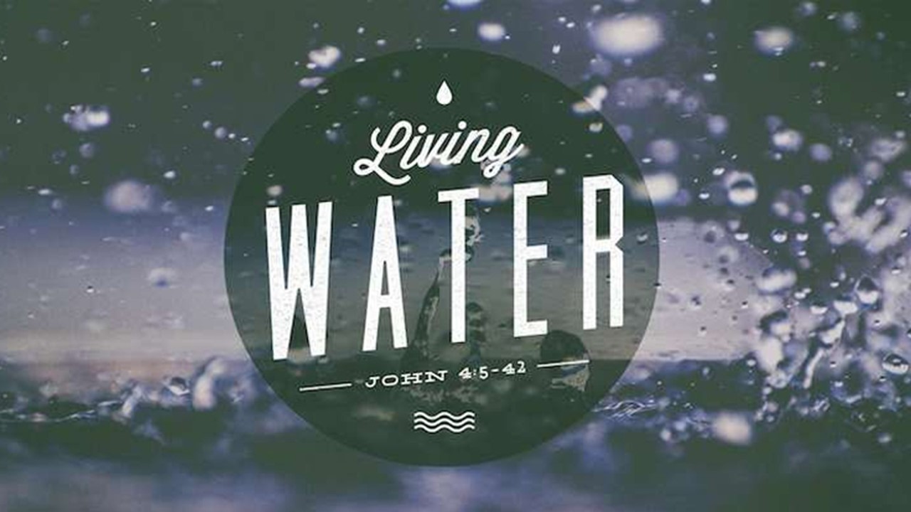 American Lutheran Church