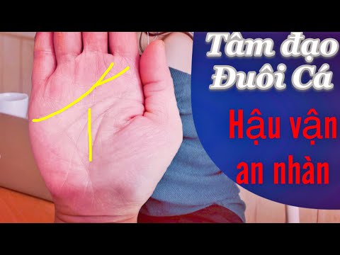 Video Xem chỉ tay Hình Đuôi Cá, Người có bàn tay đuôi cá... - youtube