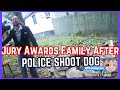 Officer Shoots Dog After Entering Yard; Jury Awards Family - Rochester Police Shooting Bodycam