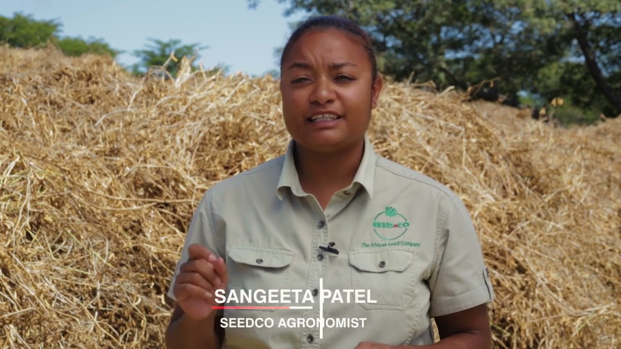 Soya Bean Harvesting Tips