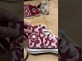 Various Converse Chuck Taylor High Top Models & Patterns