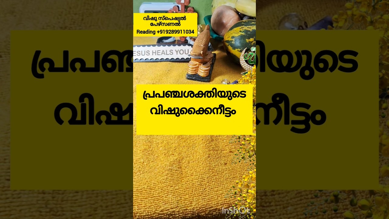 പ്രപഞ്ച ശക്തിയുടെ കൈനീട്ടം #tarot #shortsviral #astrology #motivation #tarotreading